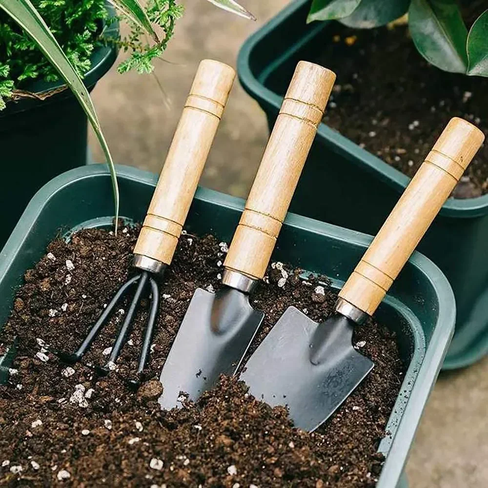3Pcs/Set Mini Garden Tool Set  - Gardening Tools Vegetables ulasan dan harga
